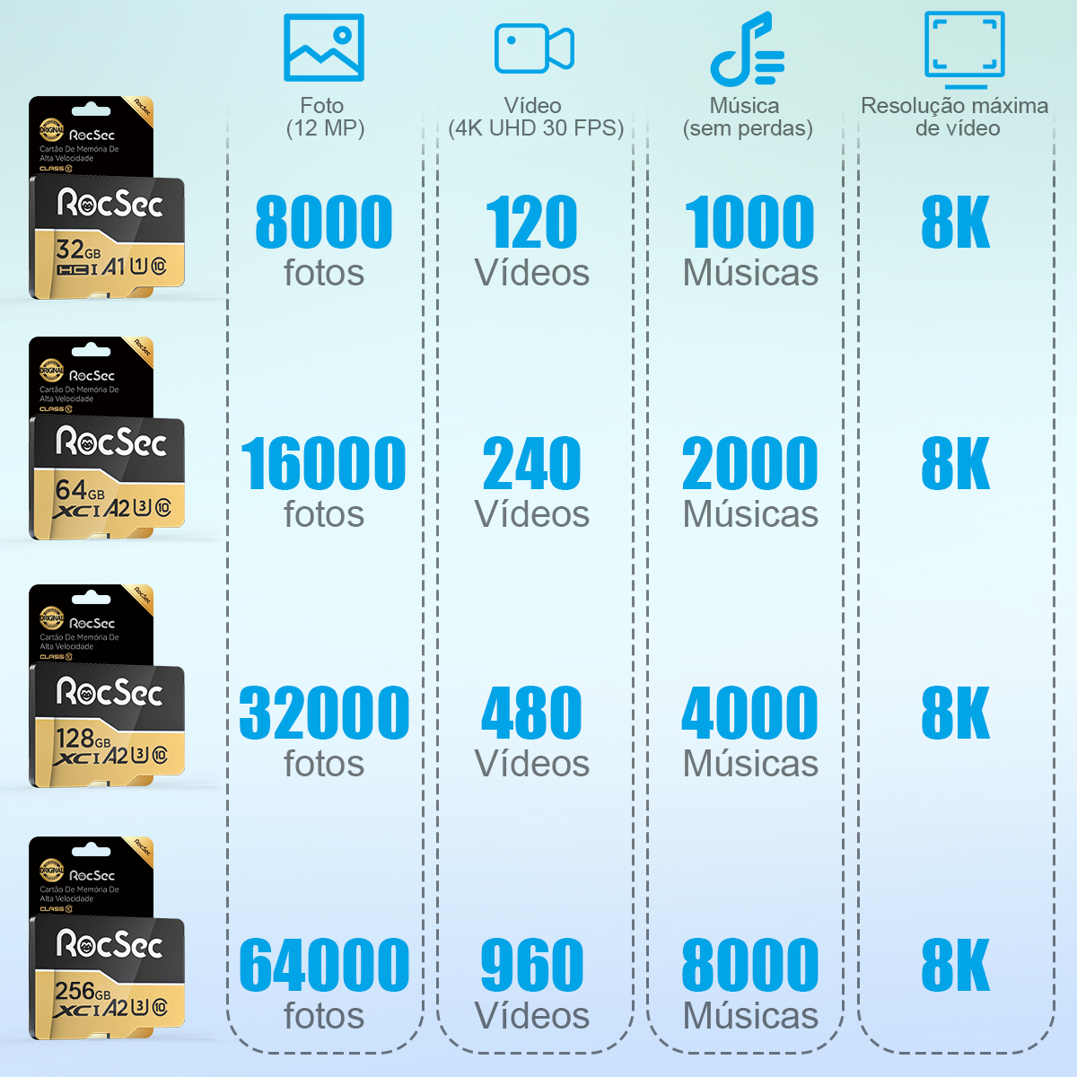 RocSec Microsd Memory Card For Wifi Ip Cameras 256GB 150m/s